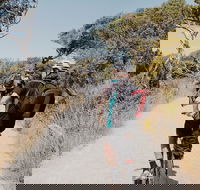 Self-Guided Point Nepean National Park Bike Hire - Phillip Island Accommodation