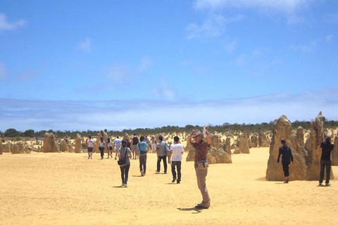Pinnacles & Rottnest Island Scenic Air & Ground Tour - Phillip Island Accommodation 3