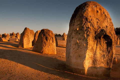 Pinnacles & Rottnest Island Scenic Air & Ground Tour - Phillip Island Accommodation 4