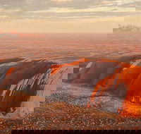 Helicopter Scenic Lizard Safari - Phillip Island Accommodation