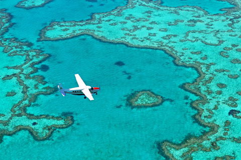 Reef And Island Scenic Flight From Airlie Beach - Phillip Island Accommodation 4