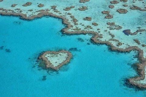Reef And Island Scenic Flight From Airlie Beach - Phillip Island Accommodation 5