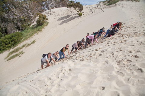 6-Day Tasmanian Explorer Adventure Tour From Hobart - Phillip Island Accommodation 2