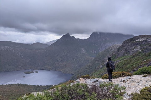 5-Day Best Of Tasmania Tour From Hobart - Phillip Island Accommodation 3