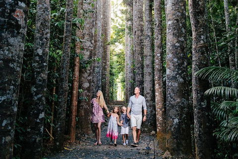 The Original Day Tour To Paronella Park, Lake Barrine And Millaa Millaa Falls - Phillip Island Accommodation 1