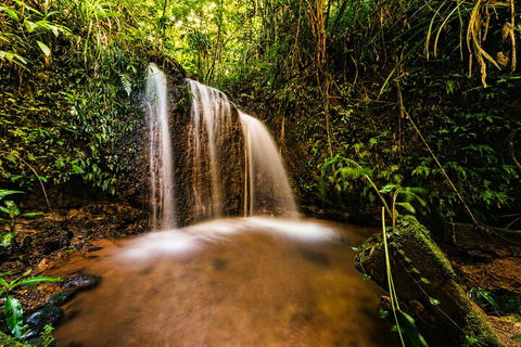 Paronella Park Admission Ticket - Phillip Island Accommodation 5