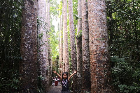 Private Tour To Paronella Park, Historic Village Herberton And Wild Life Wallaby - Phillip Island Accommodation 2