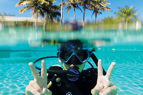 Adventure Moreton Island Scuba Dive Tour - Phillip Island Accommodation 2