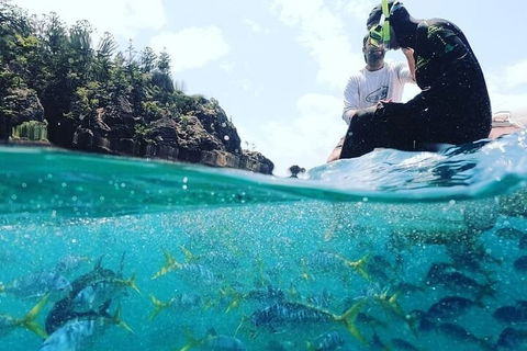 2 Night Small Group Whitsundays Sailing Adventure Aboard Mandrake - Phillip Island Accommodation 5