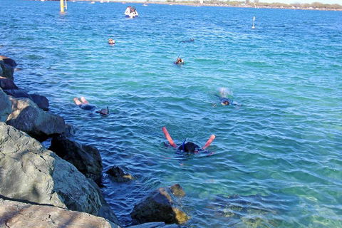 Wave Break Island Scuba Diving On The Gold Coast - Phillip Island Accommodation 1