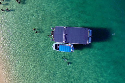 Wave Break Island Scuba Diving On The Gold Coast - Phillip Island Accommodation 2
