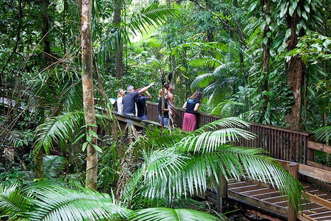Full Day Daintree Rainforest And Mossman Gorge Tour - Phillip Island Accommodation 1