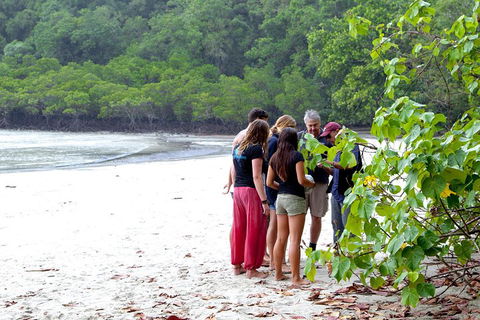 Full Day Daintree Rainforest And Mossman Gorge Tour - Phillip Island Accommodation 2