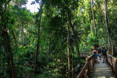 Full Day Daintree Rainforest And Mossman Gorge Tour - Phillip Island Accommodation 5