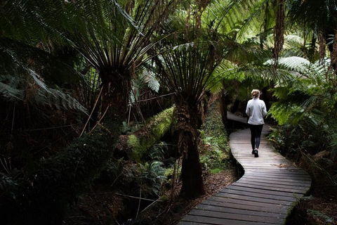 Private Tour Of Melbourne - Phillip Island Accommodation 2
