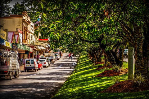 Fully Inclusive Blue Mountains Private Tour Inc Scenic World & Featherdale Entry - Phillip Island Accommodation 0