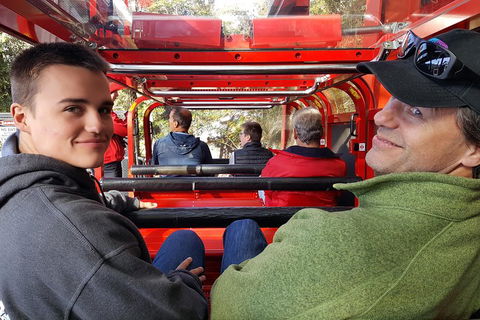 Fully Inclusive Blue Mountains Private Tour Inc Scenic World & Featherdale Entry - Phillip Island Accommodation 1