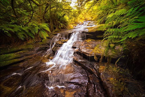 Fully Inclusive Blue Mountains Private Tour Inc Scenic World & Featherdale Entry - Phillip Island Accommodation 3