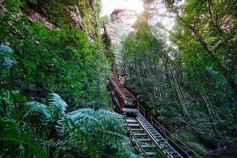 Fully Inclusive Blue Mountains Private Tour Inc Scenic World & Featherdale Entry - Phillip Island Accommodation 4