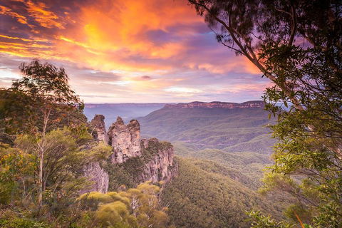 Fully Inclusive Blue Mountains Private Tour Inc Scenic World & Featherdale Entry - Phillip Island Accommodation 5