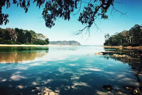 Full-Day Guided Bruny Island Tour From Hobart - Phillip Island Accommodation 1
