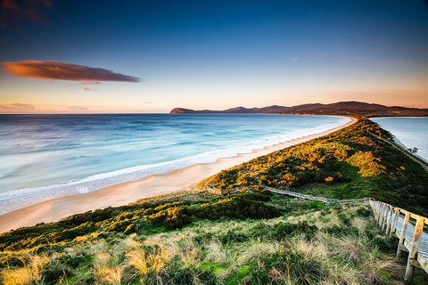 Full-Day Guided Bruny Island Tour From Hobart - Phillip Island Accommodation 2