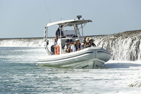 Cygnet Bay Explorer - Phillip Island Accommodation 2