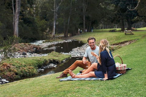 Mt Tamborine - Hinterland Wonders Self Guided - Phillip Island Accommodation 0