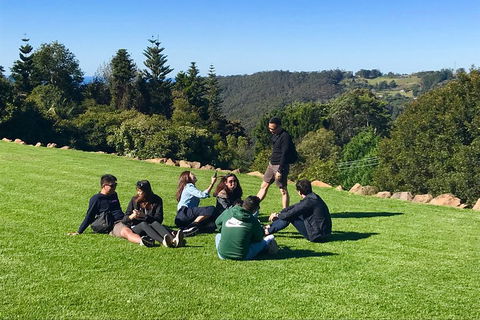 Mt Tamborine - Hinterland Wonders Self Guided - Phillip Island Accommodation 1