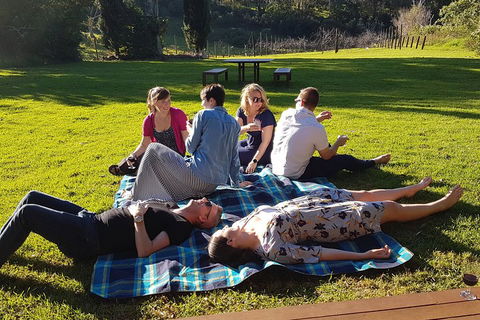 Mt Tamborine - Hinterland Wonders Self Guided - Phillip Island Accommodation 2