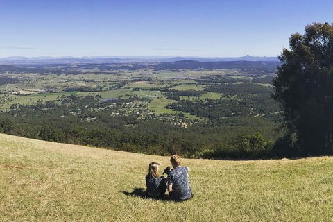 Mt Tamborine - Hinterland Wonders Self Guided - Phillip Island Accommodation 4