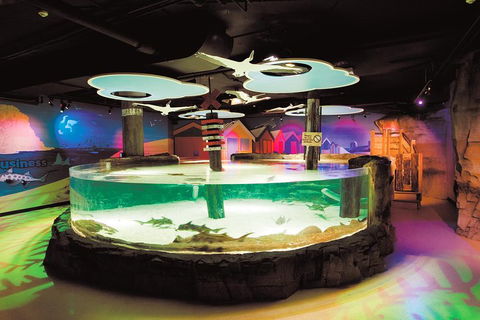 SEA LIFE Melbourne Aquarium Admission Ticket - Phillip Island Accommodation 5