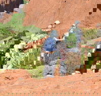 Afternoon Kata Tjuta Small Group Tour - Phillip Island Accommodation