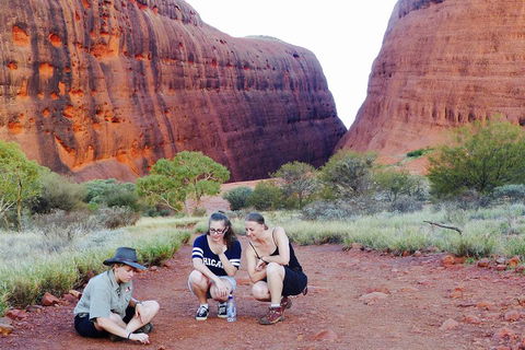 Afternoon Kata Tjuta Small Group Tour - Phillip Island Accommodation 2