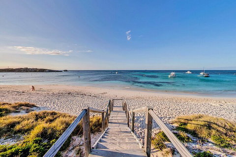 Discover Rottnest With Ferry & Bus Tour From Perth Or Fremantle - Phillip Island Accommodation 4