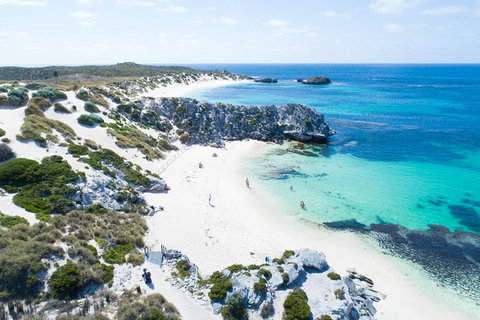 Discover Rottnest With Ferry & Bus Tour From Perth Or Fremantle - Phillip Island Accommodation 5