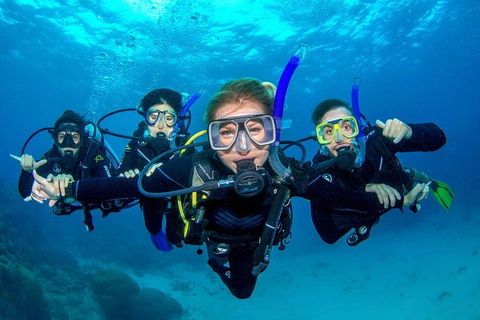 Great Barrier Reef Diving And Snorkeling Cruise From Cairns - Phillip Island Accommodation 0