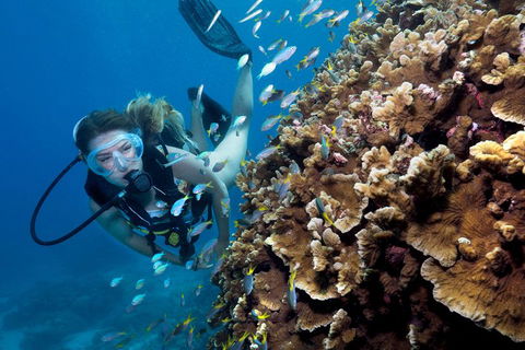 Great Barrier Reef Diving And Snorkeling Cruise From Cairns - Phillip Island Accommodation 1