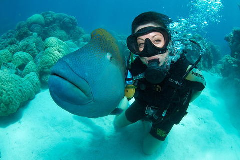Great Barrier Reef Diving And Snorkeling Cruise From Cairns - Phillip Island Accommodation 2