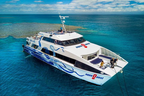 Great Barrier Reef Diving And Snorkeling Cruise From Cairns - Phillip Island Accommodation 5