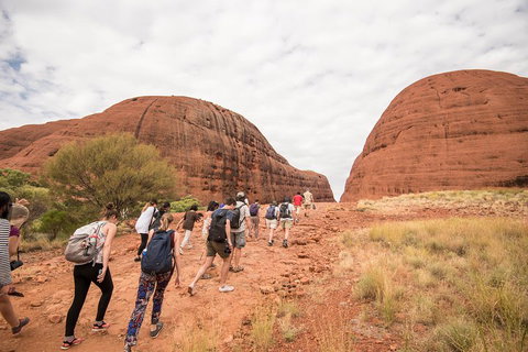 6 Day Red Centre Explorer With Accommodation - Phillip Island Accommodation 3