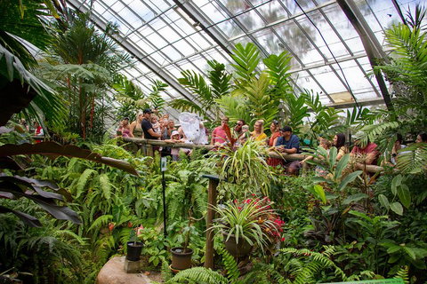 Australian Butterfly Sanctuary - Phillip Island Accommodation 0