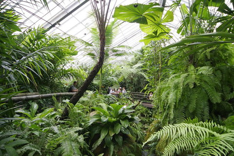 Australian Butterfly Sanctuary - Phillip Island Accommodation 3