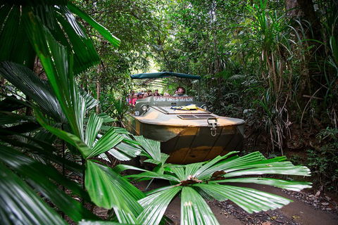 Classic Kuranda By Skyrail And Scenic Railway Including Rainforestation, Koala And Wildlife Park And Pamagirri Aboriginal Experi - Phillip Island Accommodation 4