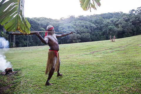 Classic Kuranda By Skyrail And Scenic Railway Including Rainforestation, Koala And Wildlife Park And Pamagirri Aboriginal Experi - Phillip Island Accommodation 5