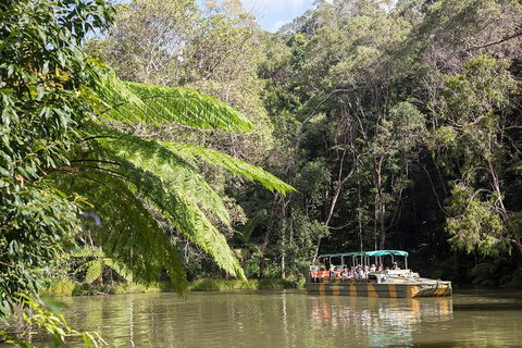 Best Of Kuranda Including Skyrail, Kuranda Scenic Railway And Rainforestation - Phillip Island Accommodation 5