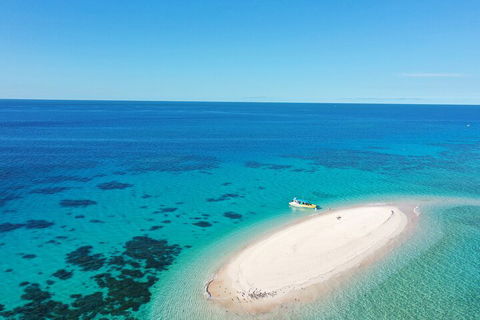 Ocean Safari Great Barrier Reef Experience In Cape Tribulation - Phillip Island Accommodation 0