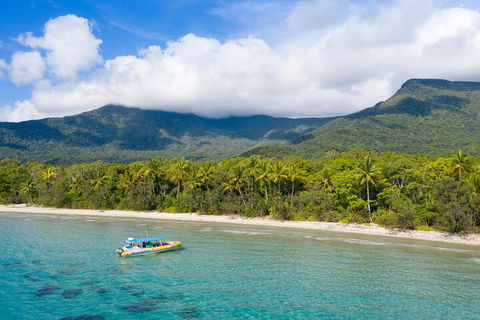 Ocean Safari Great Barrier Reef Experience In Cape Tribulation - Phillip Island Accommodation 2