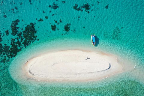Ocean Safari Great Barrier Reef Experience In Cape Tribulation - Phillip Island Accommodation 3