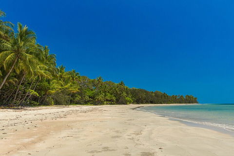 Ocean Safari Great Barrier Reef Experience In Cape Tribulation - Phillip Island Accommodation 4